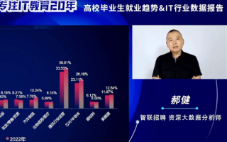 资深数据分析师，数据分析师师
