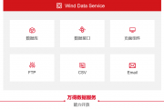 wind数据分析师，wind数据分析员